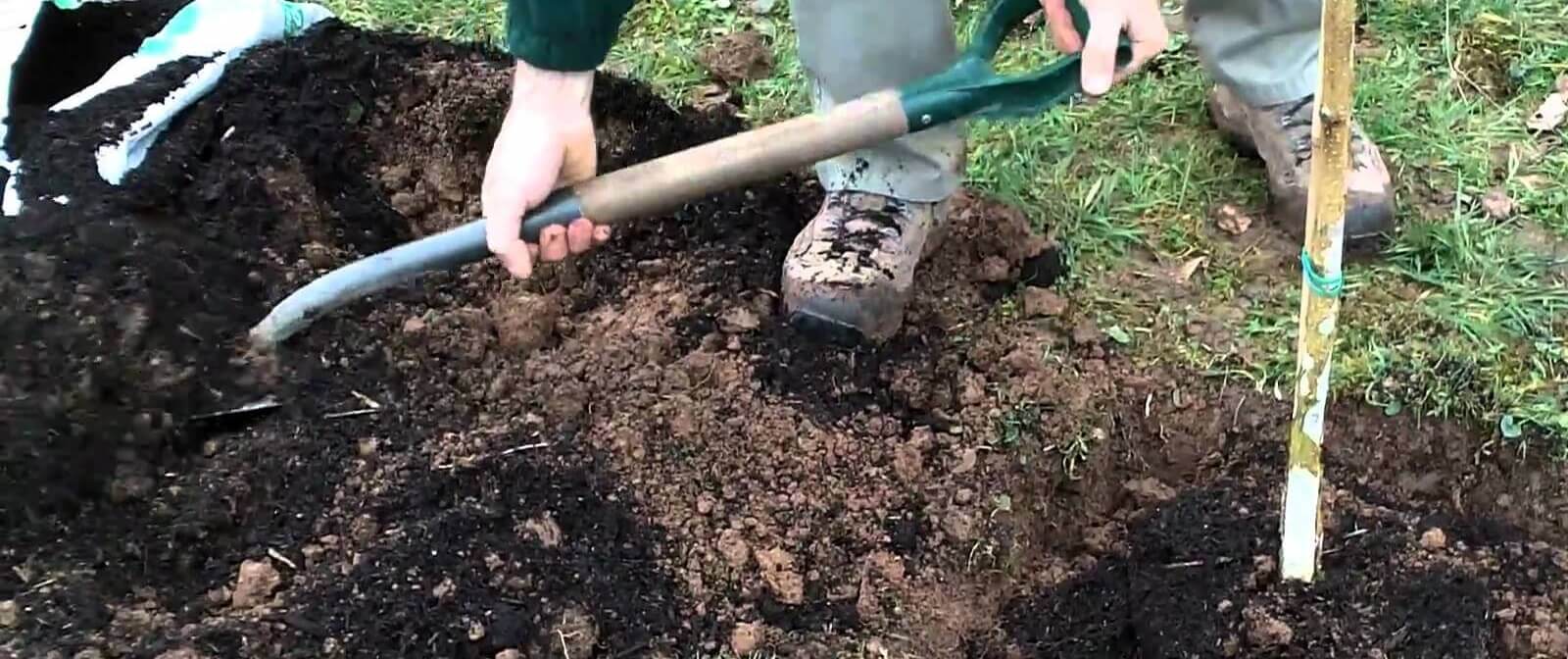 how to make compost